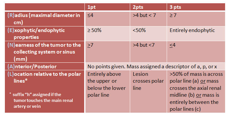 Scoring Systems For Renal Mass Complexity The Urology Guy