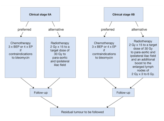 Stage 2 Seminoma Management The Urology Guy